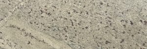 River White Granite Countertops in Charlotte